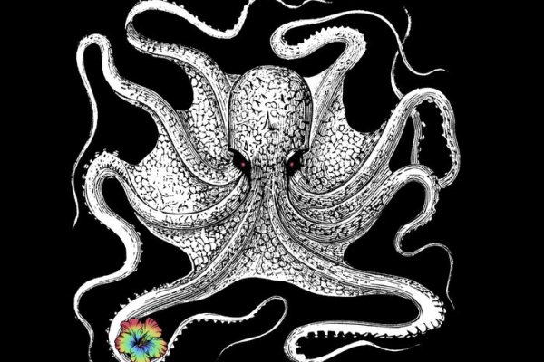 Kraken зеркало krakens13 at