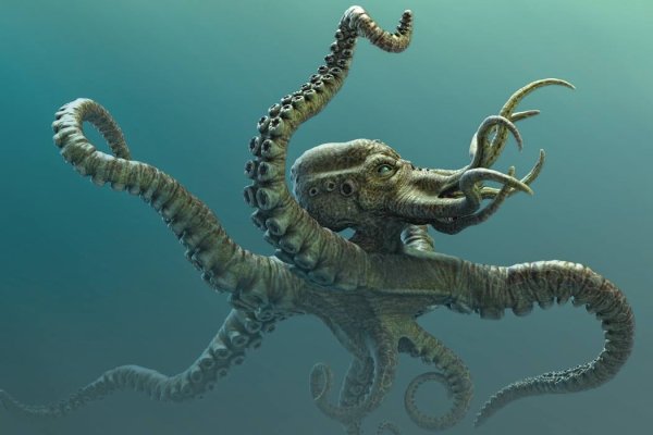 Kraken ссылка тор 2krnk biz kraken17ate pro